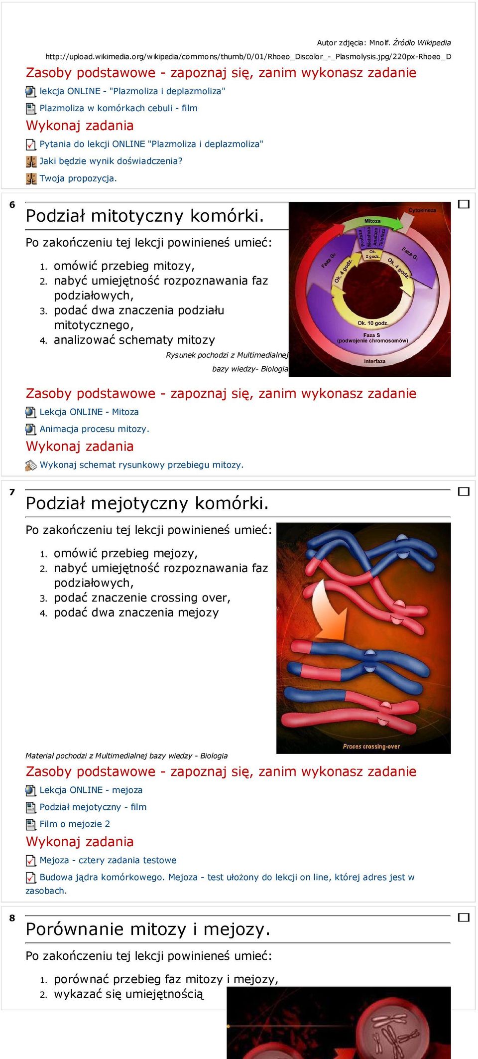 Twoja propozycja. 6 Podział mitotyczny komórki.