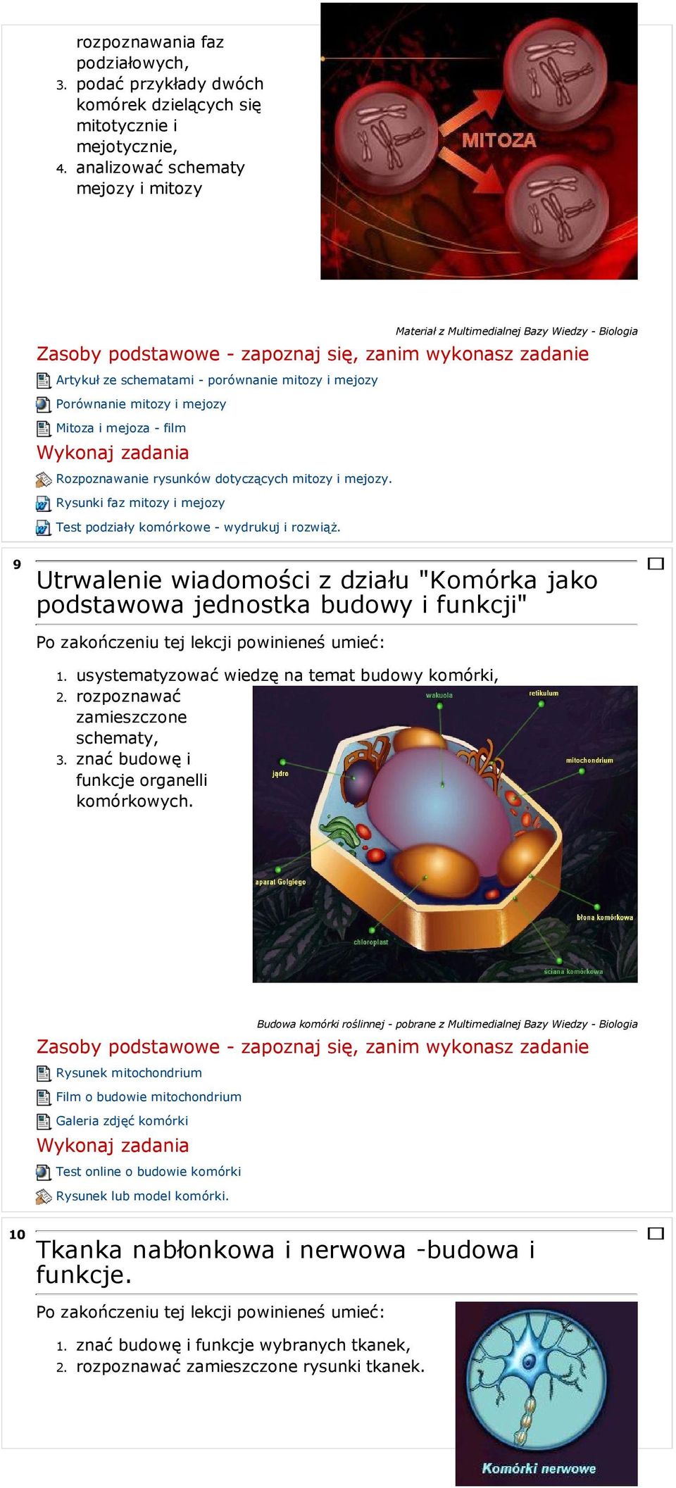 Rysunki faz mitozy i mejozy Test podziały komórkowe - wydrukuj i rozwiąż.