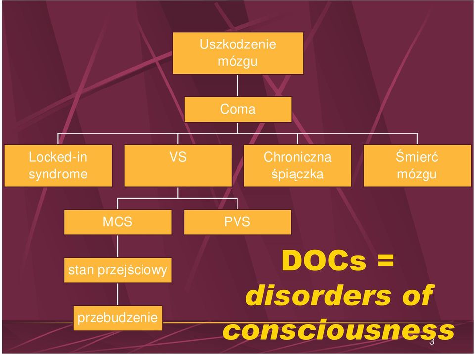Śmierć mózgu MCS PVS stan przejściowy