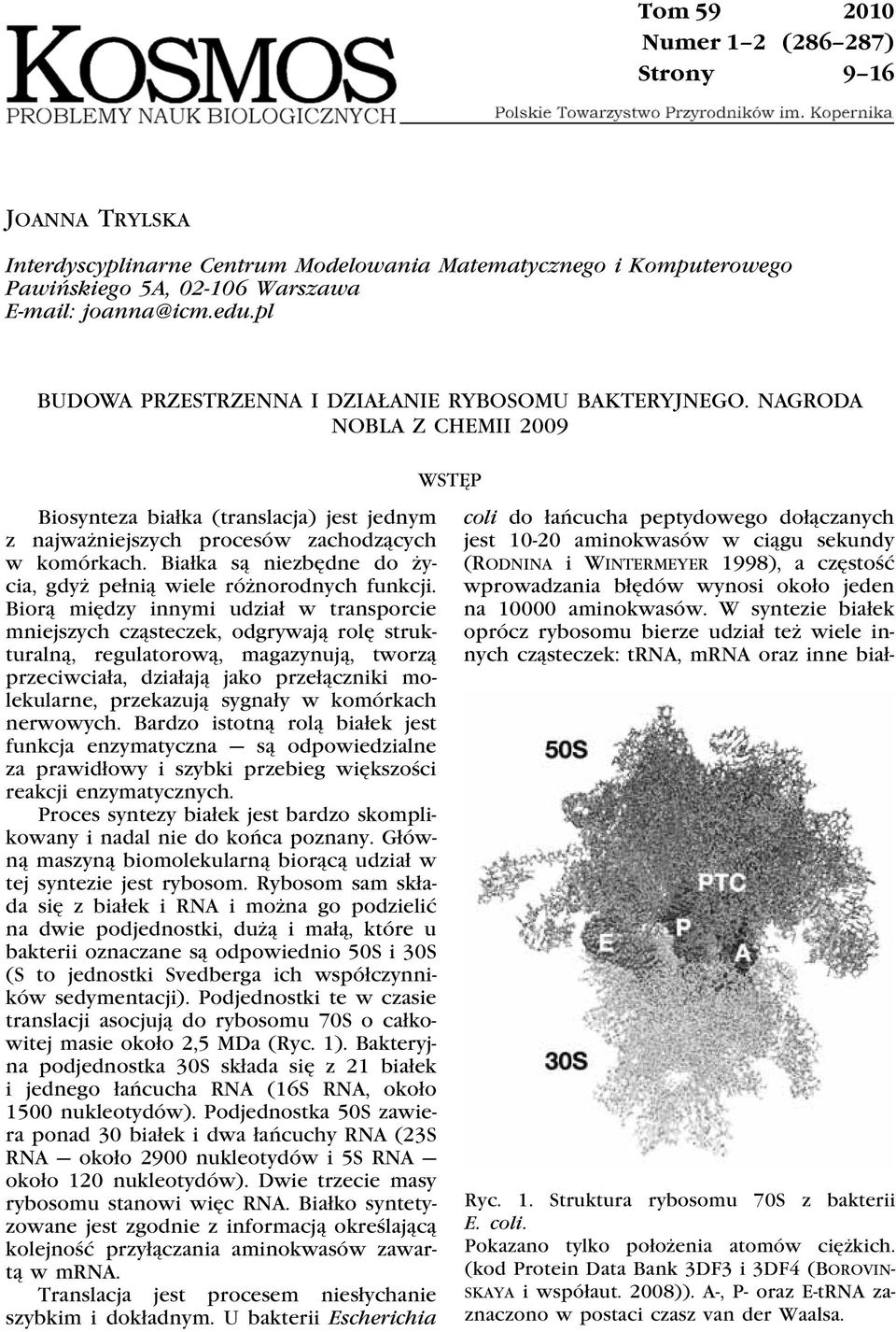 Białka są niezbędne do życia, gdyż pełnią wiele różnorodnych funkcji.