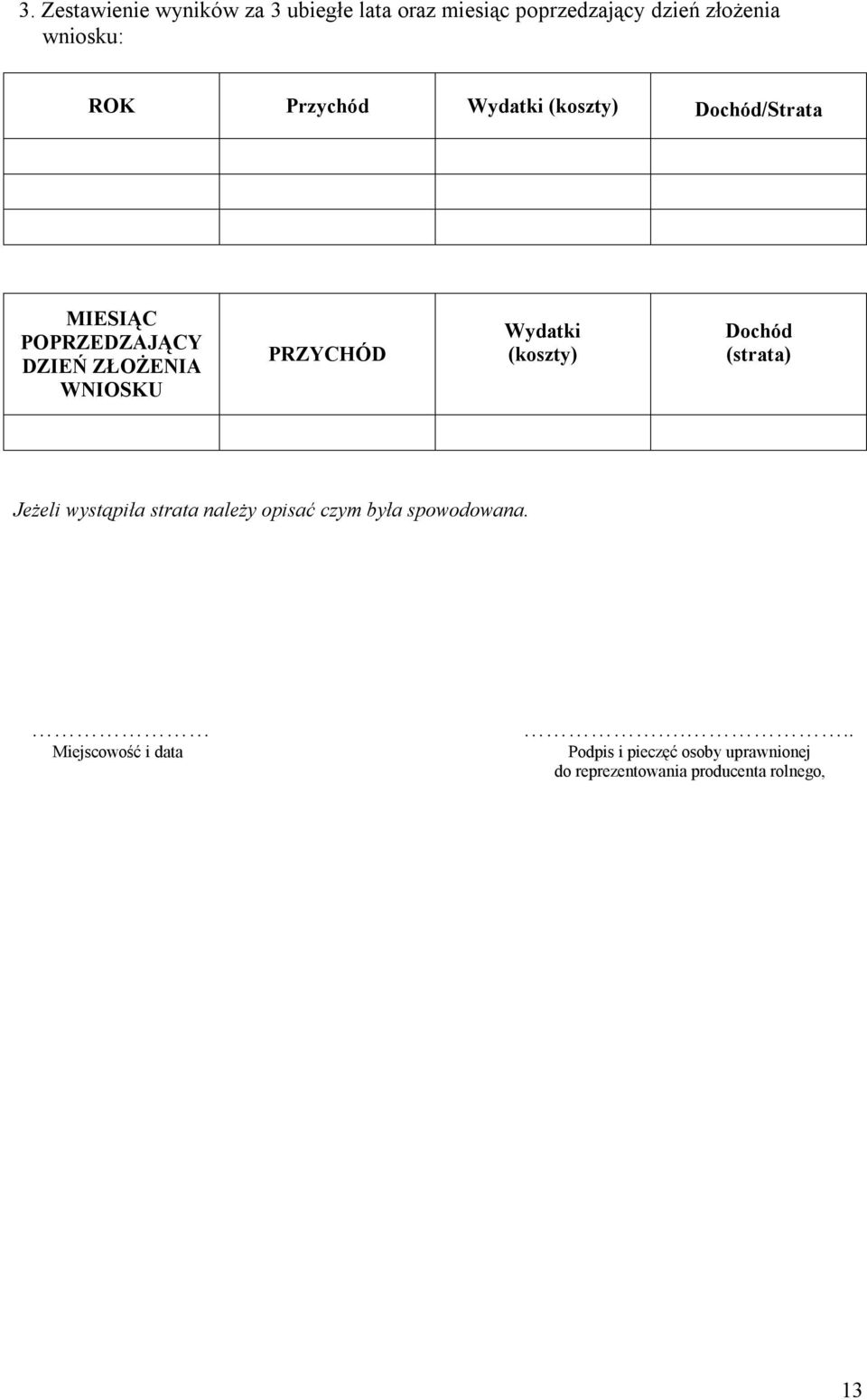 Wydatki (koszty) Dochód (strata) Jeżeli wystąpiła strata należy opisać czym była spowodowana.