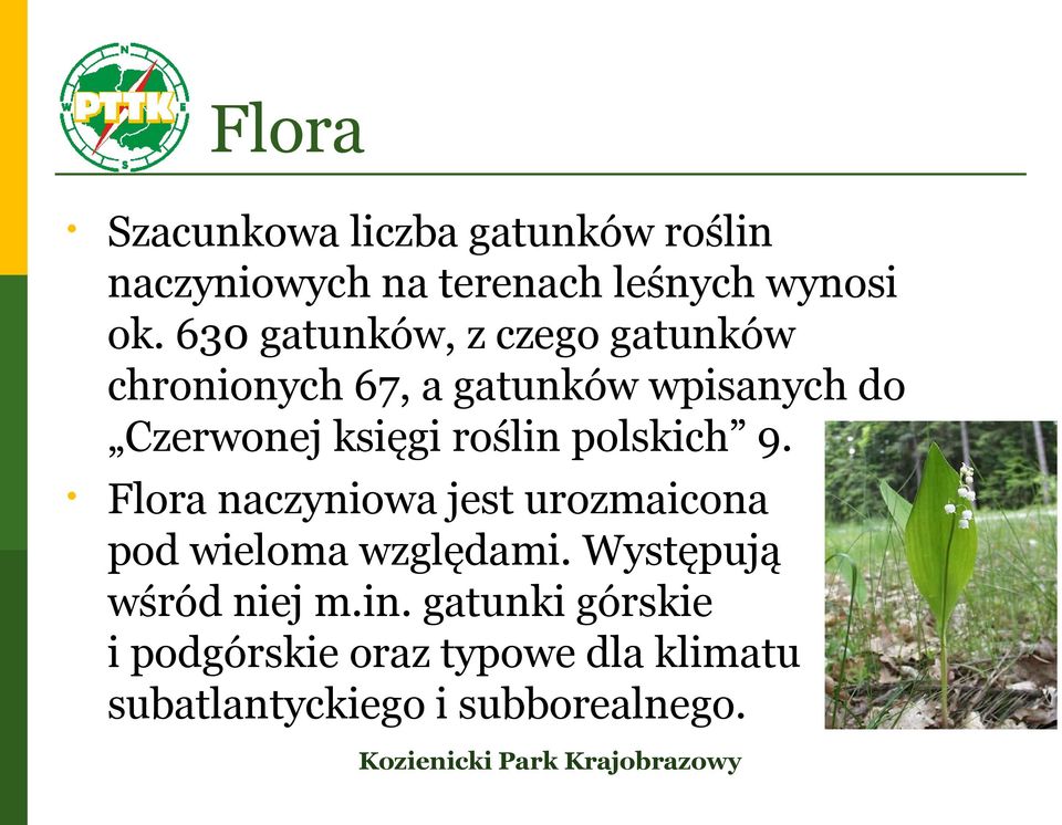 roślin polskich 9. Flora naczyniowa jest urozmaicona pod wieloma względami.
