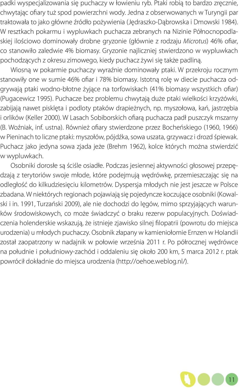 W resztkach pokarmu i wypluwkach puchacza zebranych na Nizinie Północnopodlaskiej ilościowo dominowały drobne gryzonie (głównie z rodzaju Microtus) 46% ofiar, co stanowiło zaledwie 4% biomasy.