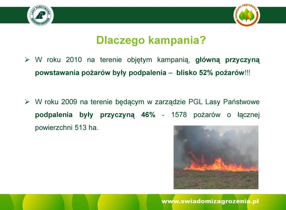 powstawania pożarów były podpalenia blisko 52% pożarów!