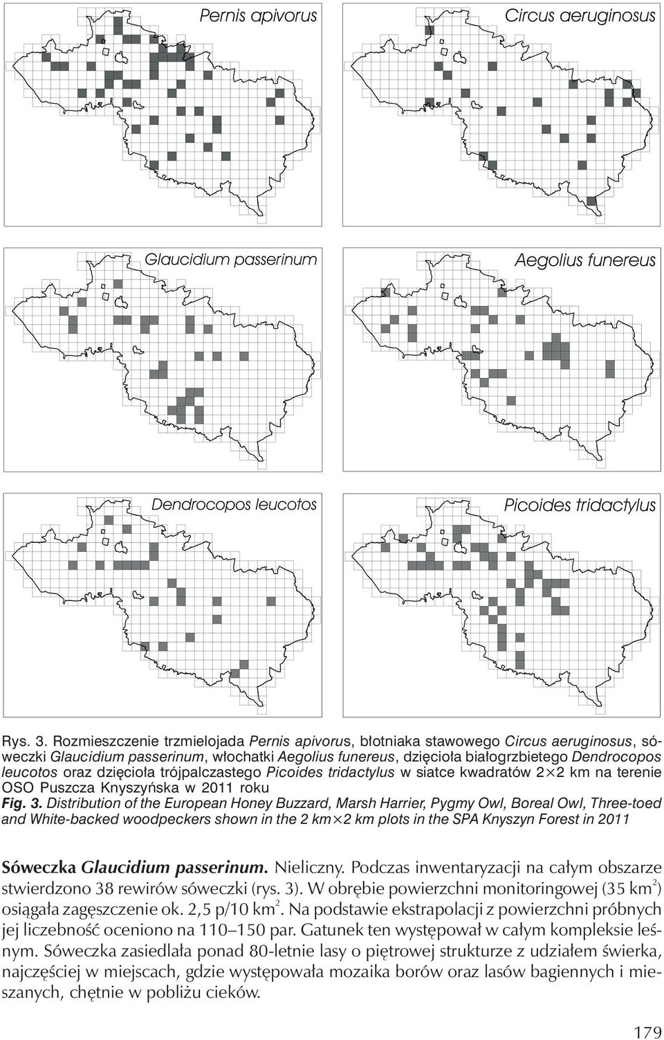 dzięcioła trójpalczastego Picoides tridactylus w siatce kwadratów 2 2 km na terenie OSO Puszcza Knyszyńska w 2011 roku Fig. 3.