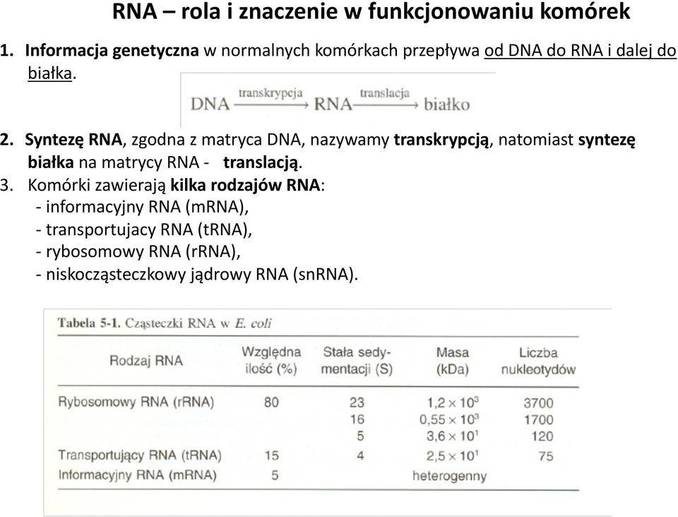 Syntezę RNA, zgodna z matryca DNA, nazywamy transkrypcją, natomiast syntezę białka na matrycy RNA -