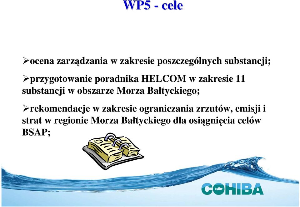 Morza Bałtyckiego; rekomendacje w zakresie ograniczania zrzutów,