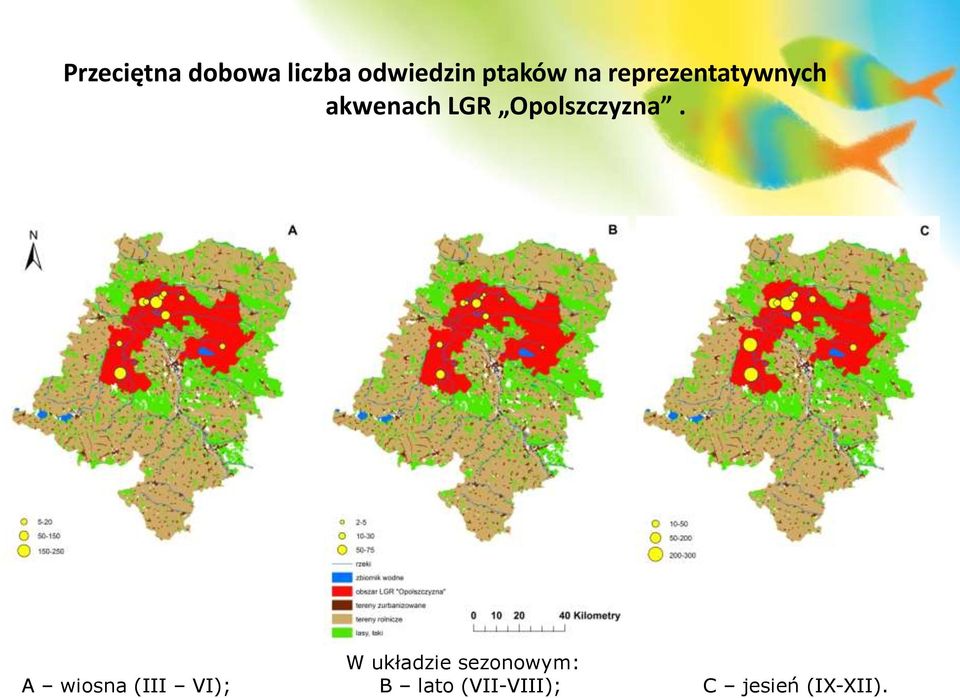 Opolszczyzna.