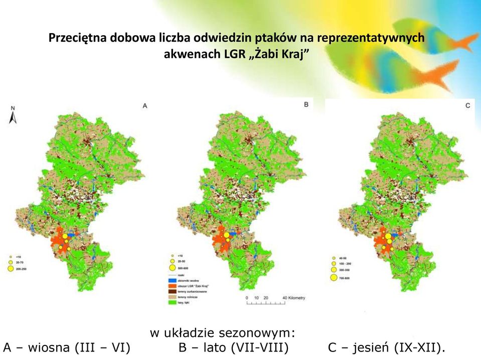 Żabi Kraj w układzie sezonowym: A wiosna