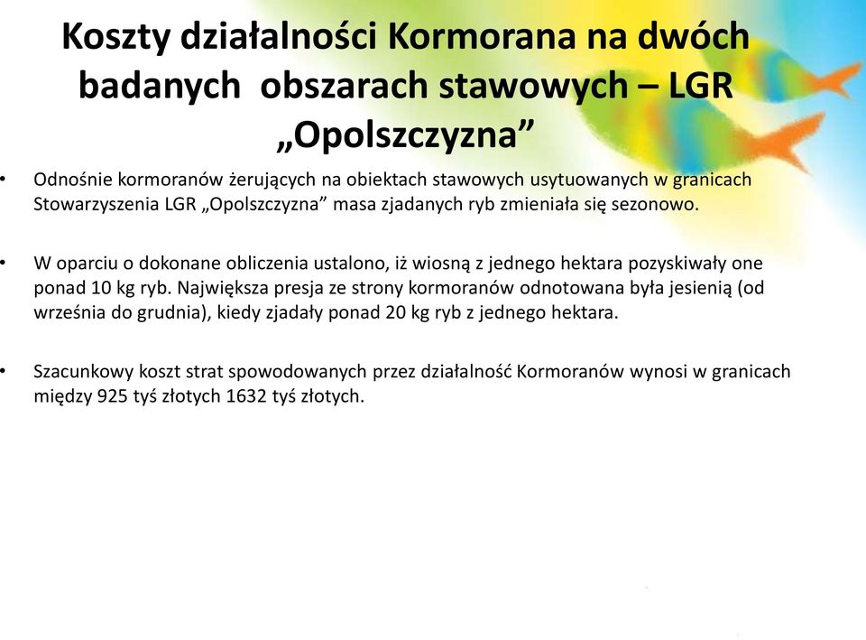 W oparciu o dokonane obliczenia ustalono, iż wiosną z jednego hektara pozyskiwały one ponad 10 kg ryb.