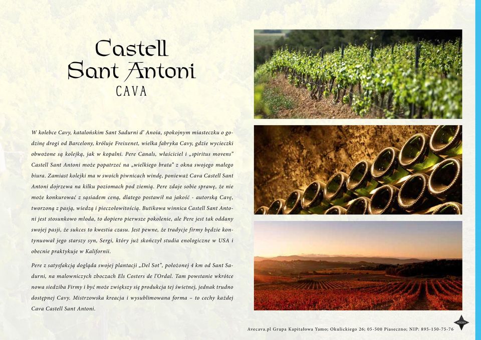 Zamiast kolejki ma w swoich piwnicach windę, ponieważ Cava Castell Sant Antoni dojrzewa na kilku poziomach pod ziemią.