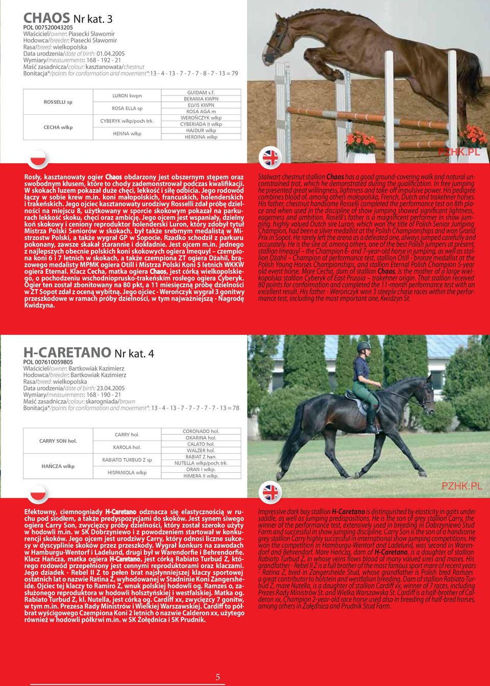 2005 Wymiary/measurements: 168-192 - 21 Maść zasadnicza/colour: kasztanowata/chestnut Bonitacja*/points for conformation and movement*:13-4 - 13-7 - 7-7 - 8-7 - 13 = 79 ROSSELLI sp CECHA wlkp LURON