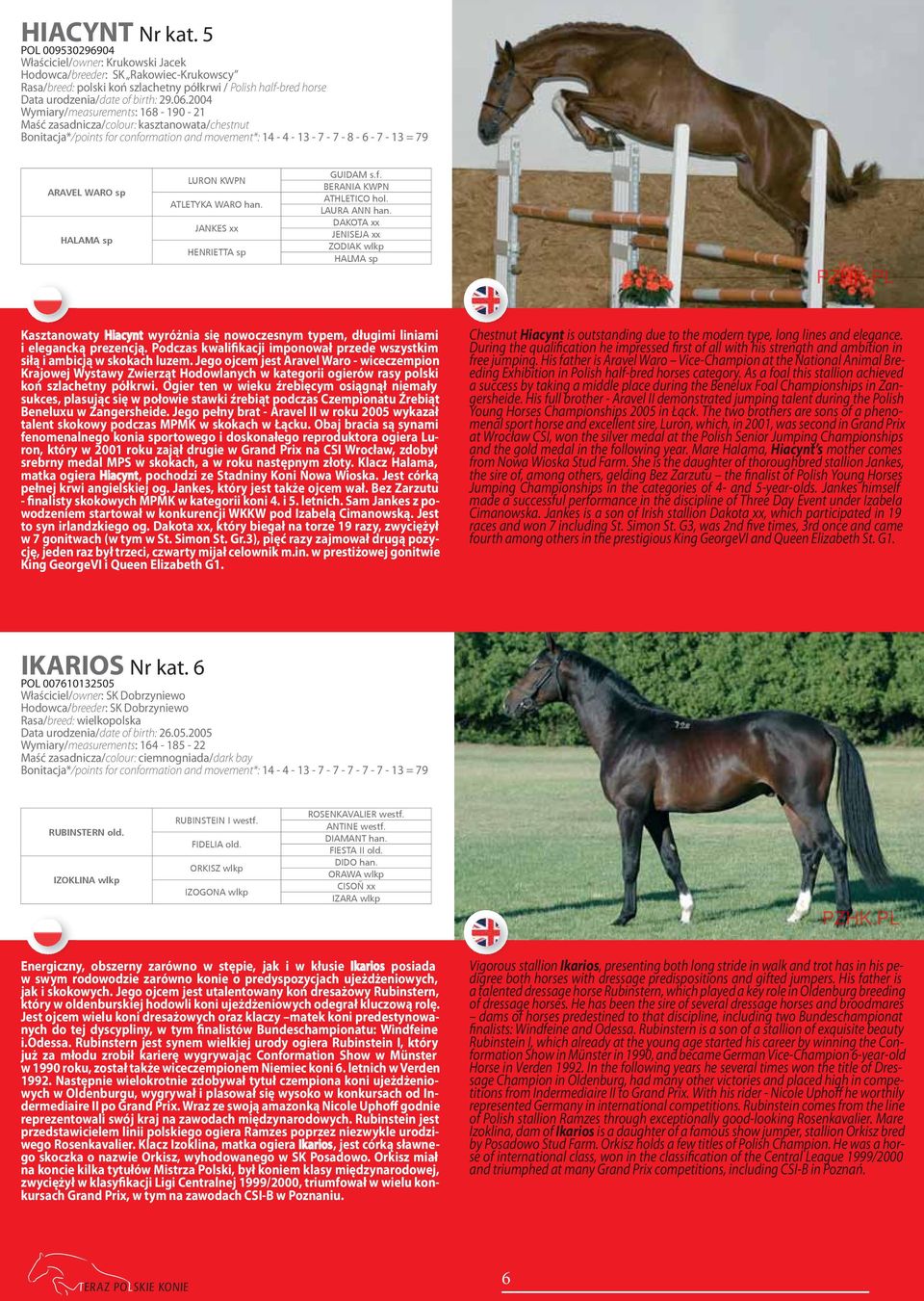 2004 Wymiary/measurements: 168-190 - 21 Maść zasadnicza/colour: kasztanowata/chestnut Bonitacja*/points for conformation and movement*: 14-4 - 13-7 - 7-8 - 6-7 - 13 = 79 ARAVEL WARO sp HALAMA sp