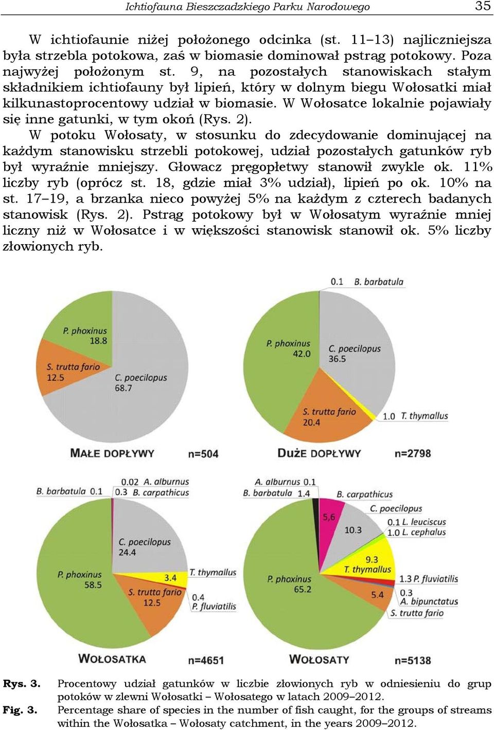 W Wołosatce lokalnie pojawiały się inne gatunki, w tym okoń (Rys. 2).