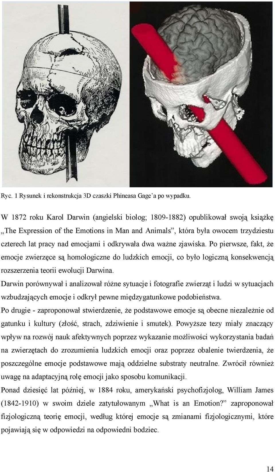 odkrywała dwa ważne zjawiska. Po pierwsze, fakt, że emocje zwierzęce są homologiczne do ludzkich emocji, co było logiczną konsekwencją rozszerzenia teorii ewolucji Darwina.