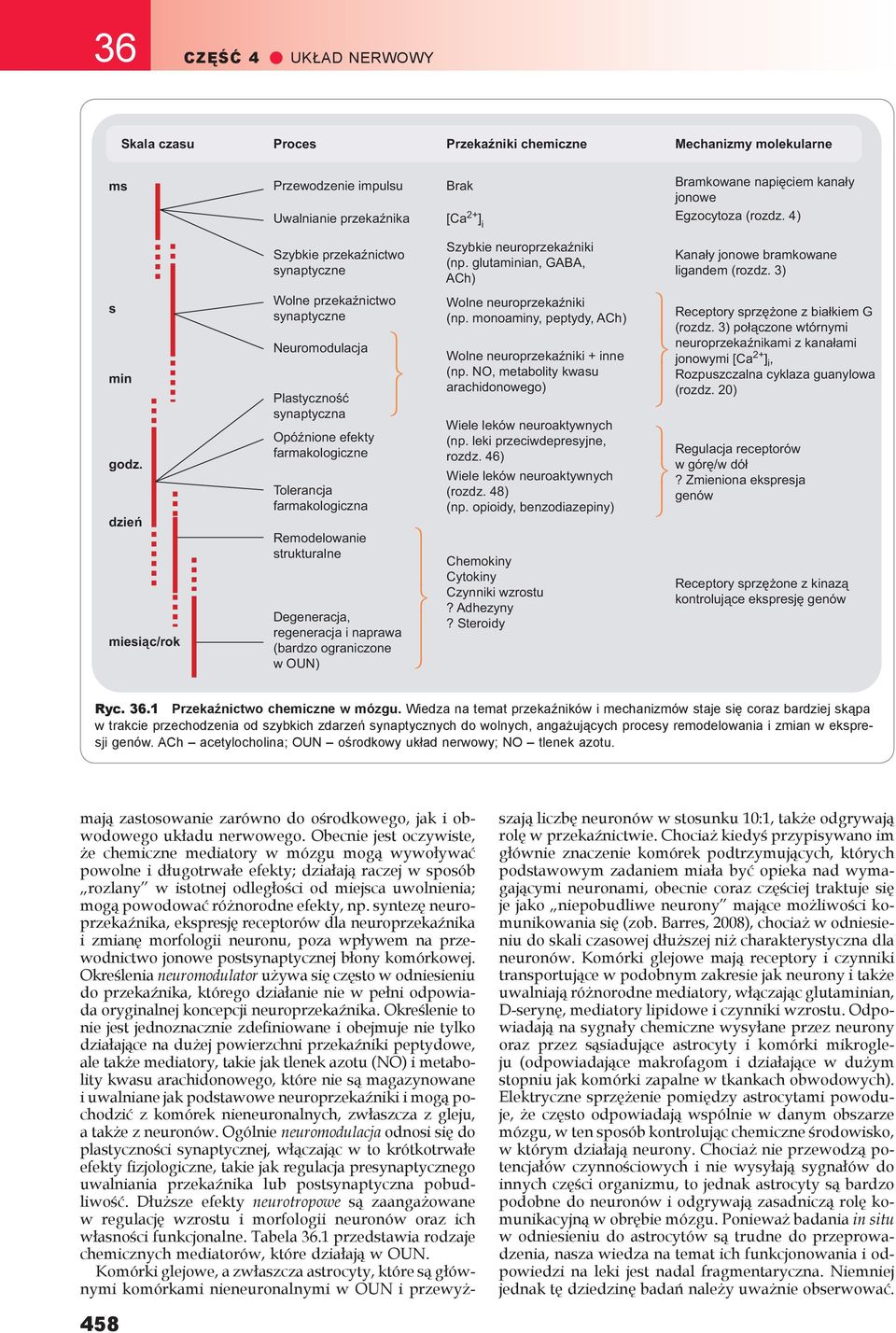 dzień miesiąc/rok Wolne przekźnictwo synptyczne Neuromodulcj Plstyczność synptyczn Opóźnione efekty frmkologiczne Tolerncj frmkologiczn Remodelownie strukturlne Degenercj, regenercj i nprw (rdzo