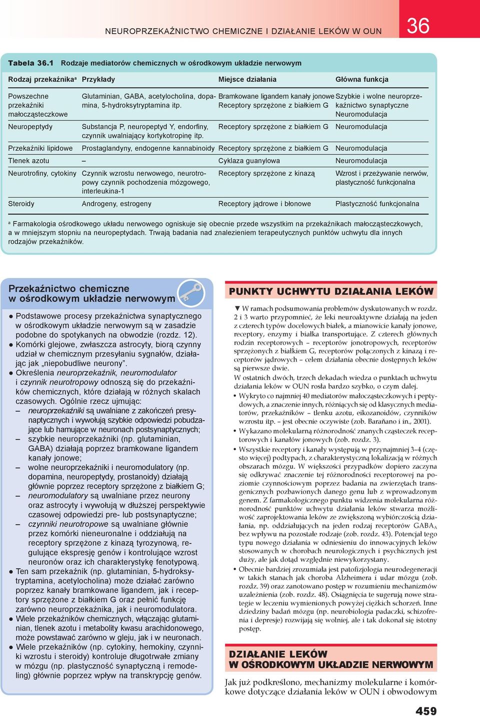 dopmin, 5-hydroksytryptmin itp. Sustncj P, neuropeptyd Y, endorfiny, czynnik uwlnijący kortykotropinę itp.