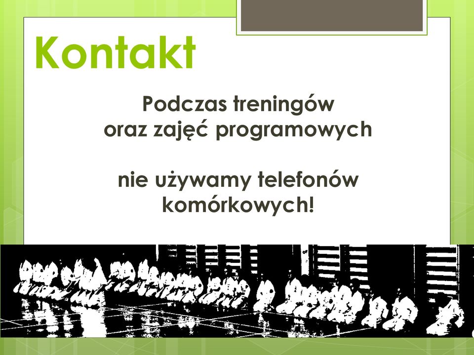 programowych nie