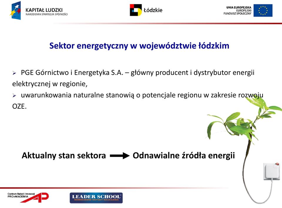 główny producent i dystrybutor energii elektrycznej w regionie,