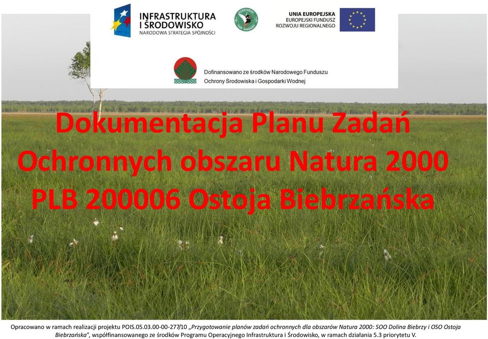 00-00-277/10 Przygotowanie planów zadań ochronnych dla obszarów Natura : SOO Dolina