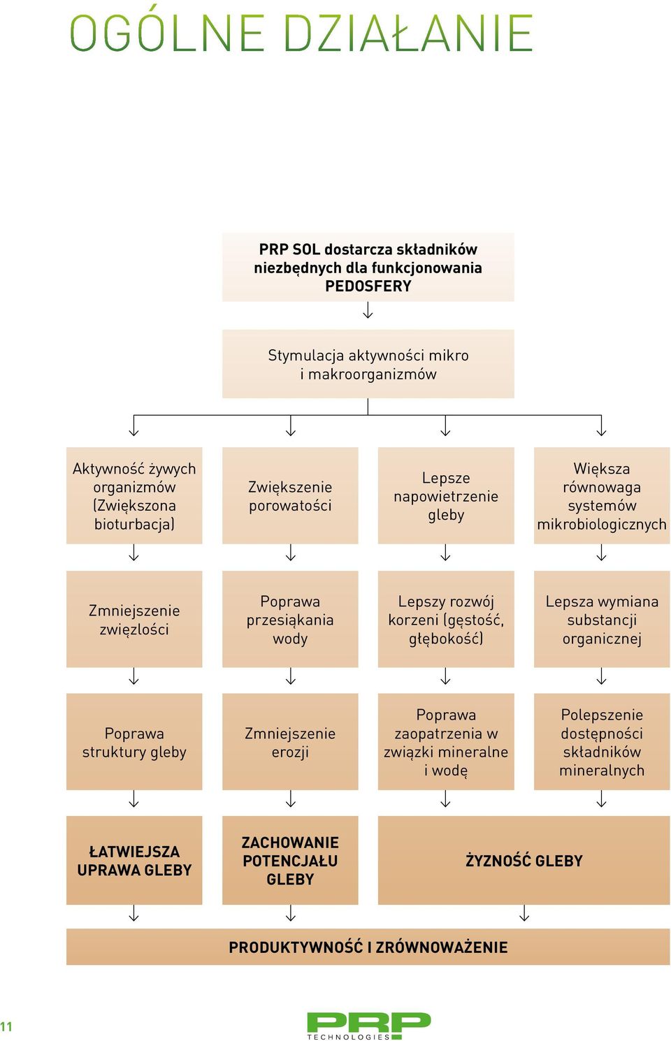 przesiąkania wody Lepszy rozwój korzeni (gęstość, głębokość) Lepsza wymiana substancji organicznej Poprawa struktury gleby Zmniejszenie erozji Poprawa