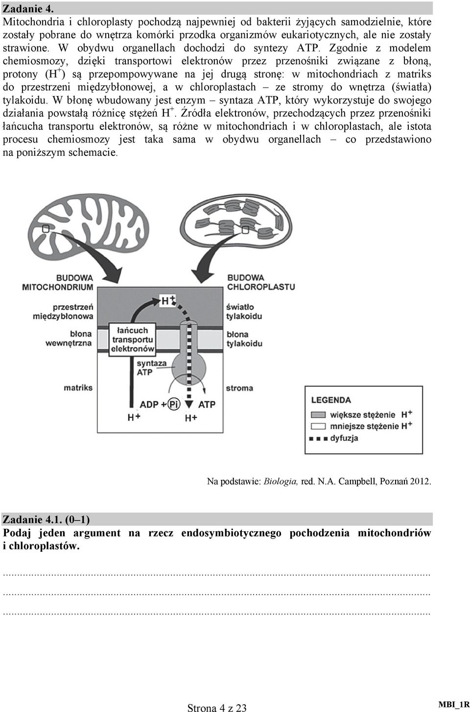 Zgodnie z modelem chemiosmozy, dzięki transportowi elektronów przez przenośniki związane z błoną, protony (H + ) są przepompowywane na jej drugą stronę: w mitochondriach z matriks do przestrzeni