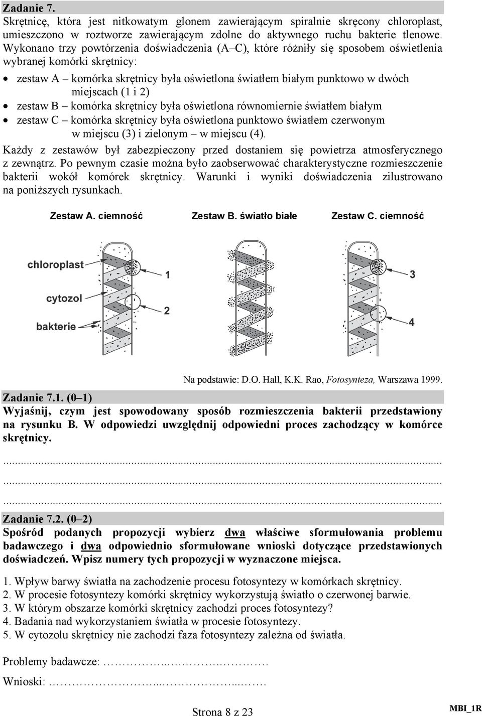 (1 i 2) zestaw B komórka skrętnicy była oświetlona równomiernie światłem białym zestaw C komórka skrętnicy była oświetlona punktowo światłem czerwonym w miejscu (3) i zielonym w miejscu (4).