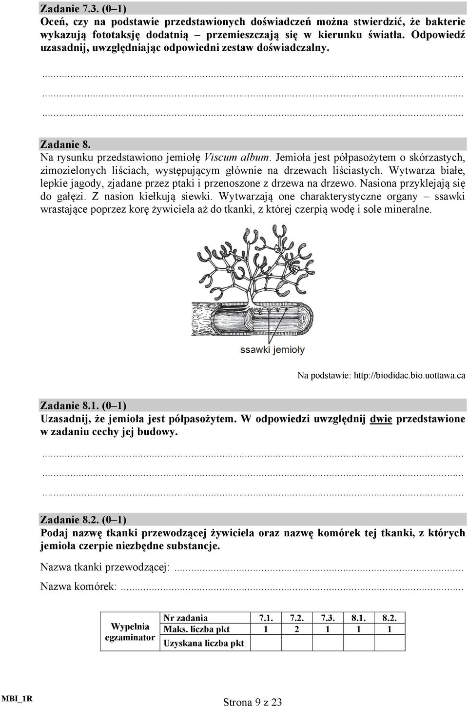 Jemioła jest półpasożytem o skórzastych, zimozielonych liściach, występującym głównie na drzewach liściastych. Wytwarza białe, lepkie jagody, zjadane przez ptaki i przenoszone z drzewa na drzewo.