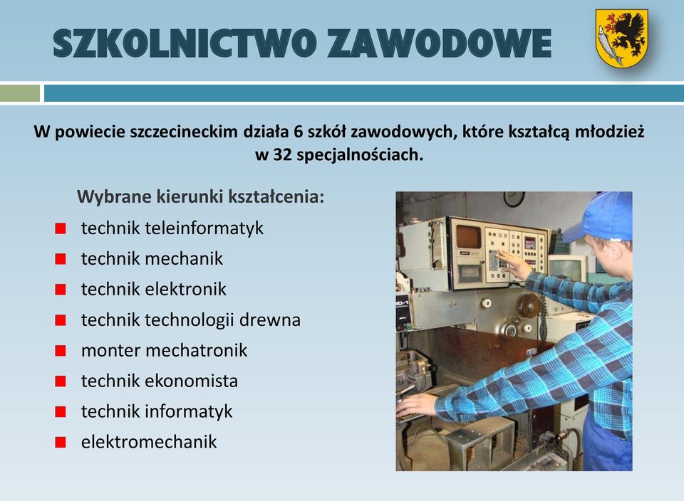 Wybrane kierunki kształcenia: technik teleinformatyk technik mechanik