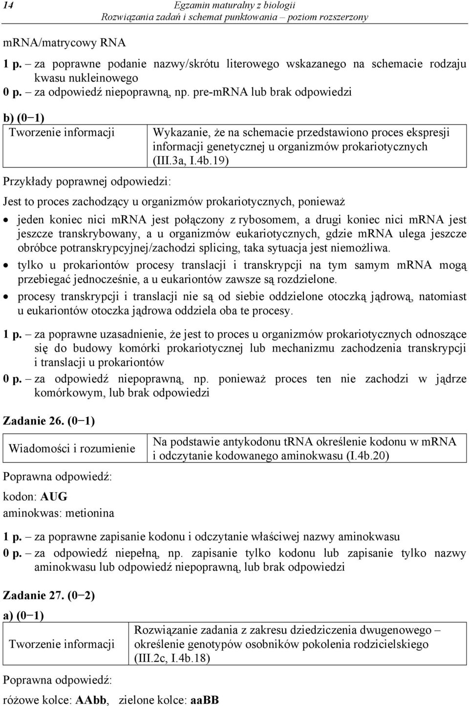 19) Jest to proces zachodzący u organizmów prokariotycznych, ponieważ jeden koniec nici mrna jest połączony z rybosomem, a drugi koniec nici mrna jest jeszcze transkrybowany, a u organizmów