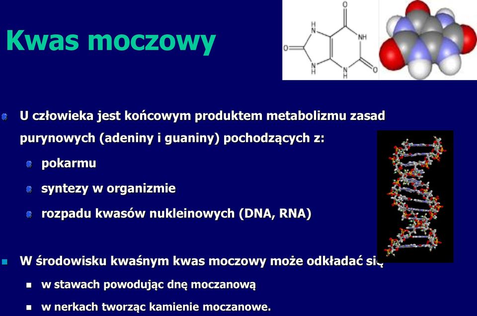 rozpadu kwasów nukleinowych (DNA, RNA) W środowisku kwaśnym kwas moczowy