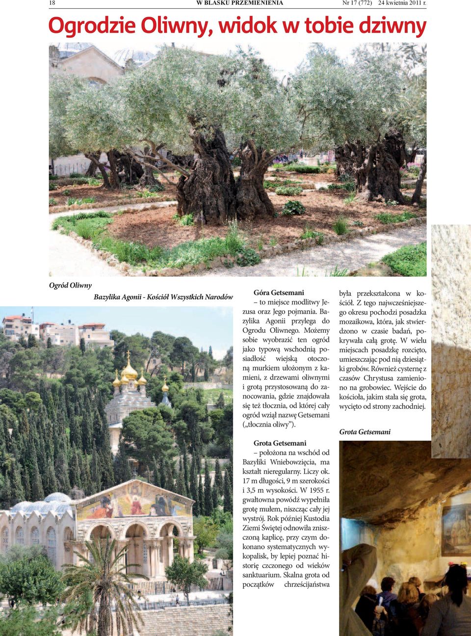 Możemy sobie wyobrazić ten ogród jako typową wschodnią posiadłość wiejską otoczoną murkiem ułożonym z kamieni, z drzewami oliwnymi i grotą przystosowaną do zanocowania, gdzie znajdowała się też