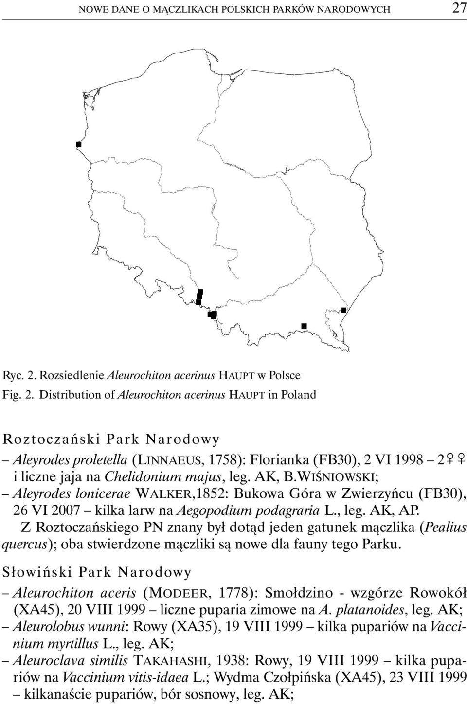 AK, B.WIŚNIOWSKI; Aleyrodes lonicerae WALKER,1852: Bukowa Góra w Zwierzyńcu (FB30), 26 VI 2007 kilka larw na Aegopodium podagraria L., leg. AK, AP.