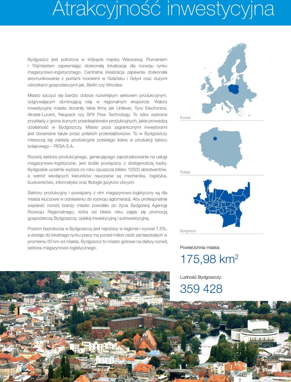 sektorem produkcyjnym, odgrywającym dominującą rolę w regionalnym eksporcie.