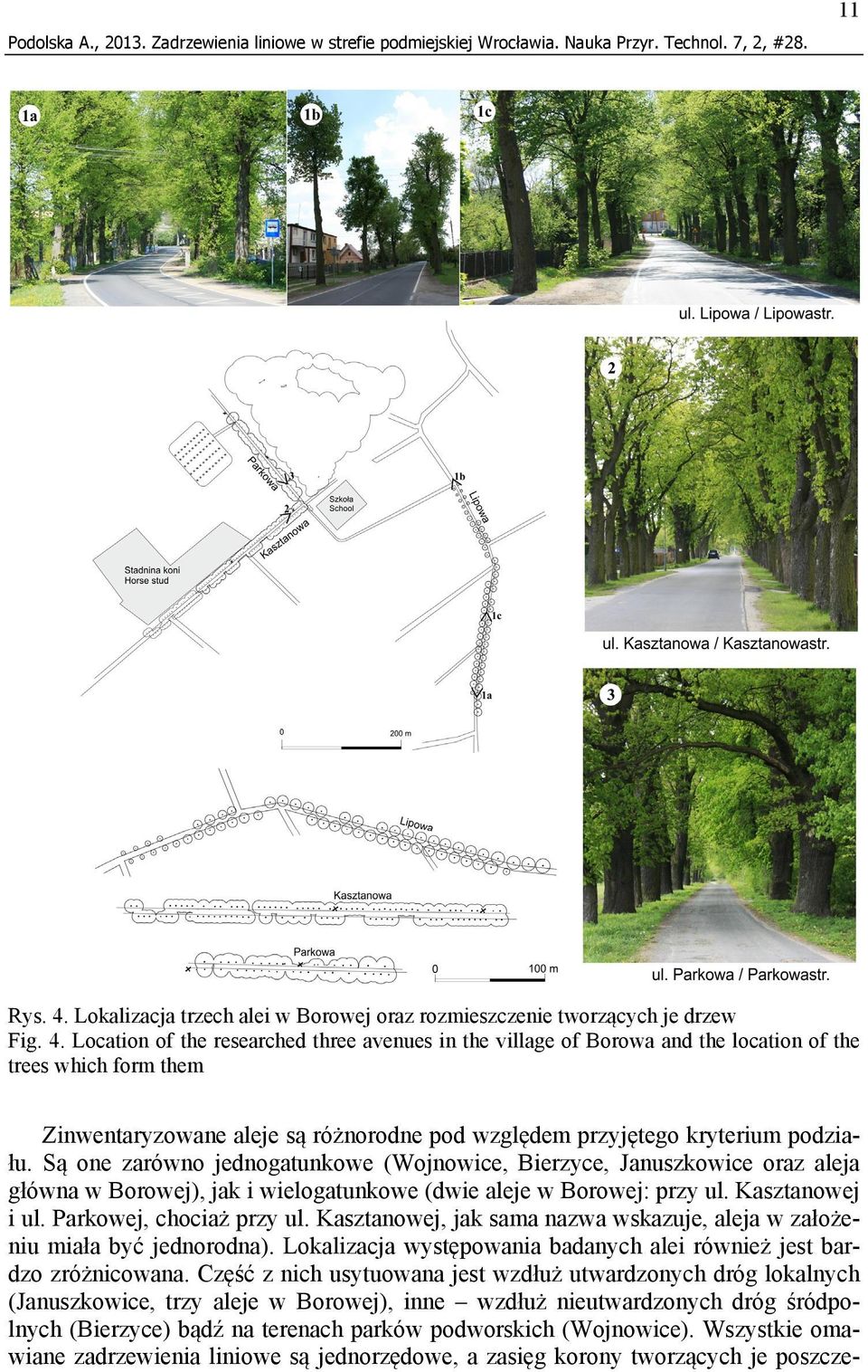 Location of the researched three avenues in the village of Borowa and the location of the trees which form them Zinwentaryzowane aleje są różnorodne pod względem przyjętego kryterium podziału.