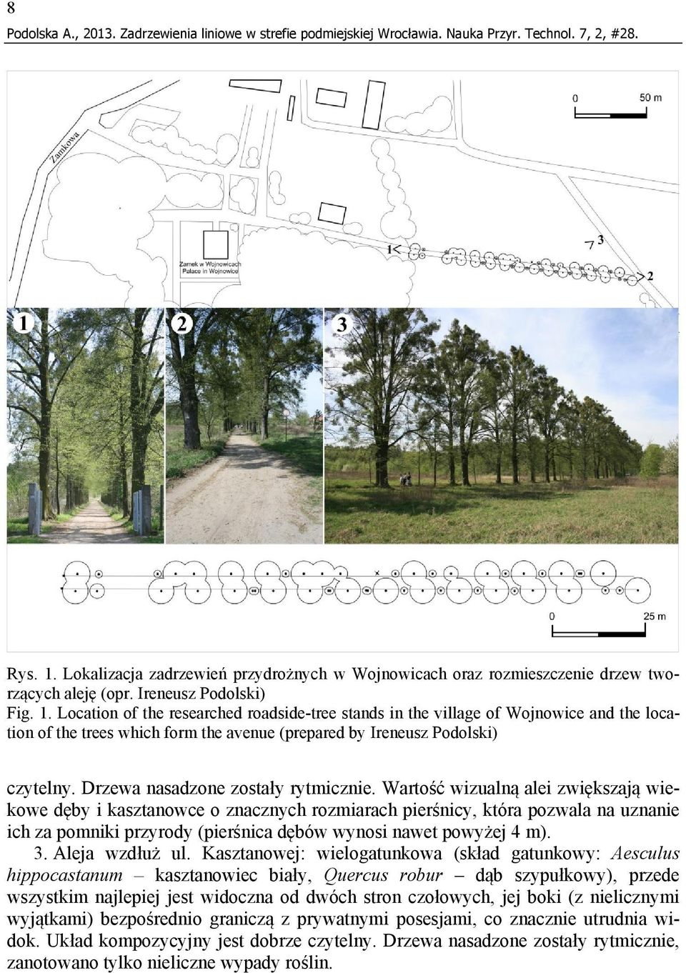 Wartość wizualną alei zwiększają wiekowe dęby i kasztanowce o znacznych rozmiarach pierśnicy, która pozwala na uznanie ich za pomniki przyrody (pierśnica dębów wynosi nawet powyżej 4 m). 3.