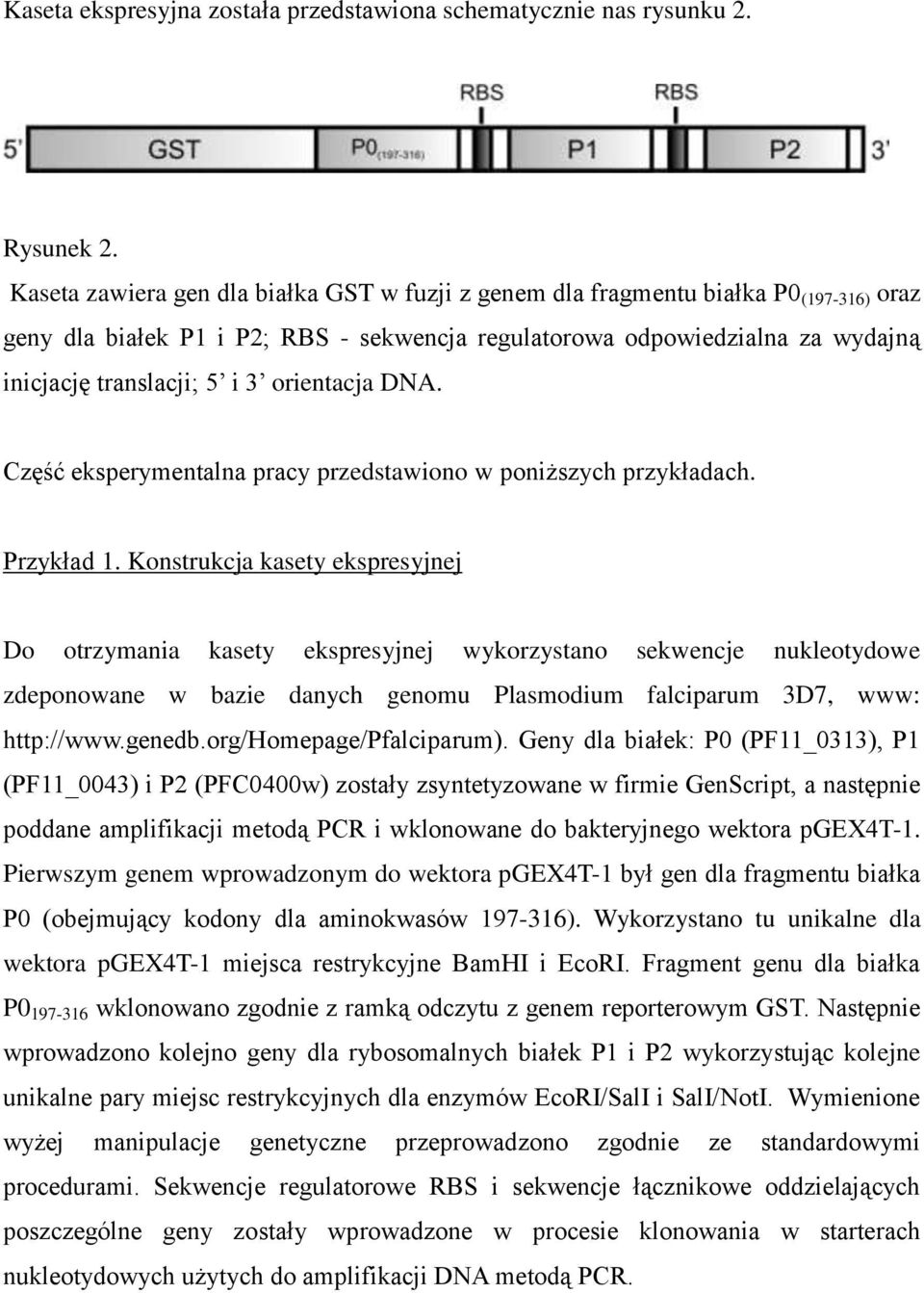 orientacja DNA. Część eksperymentalna pracy przedstawiono w poniższych przykładach. Przykład 1.