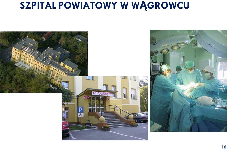 WĄGROWCU