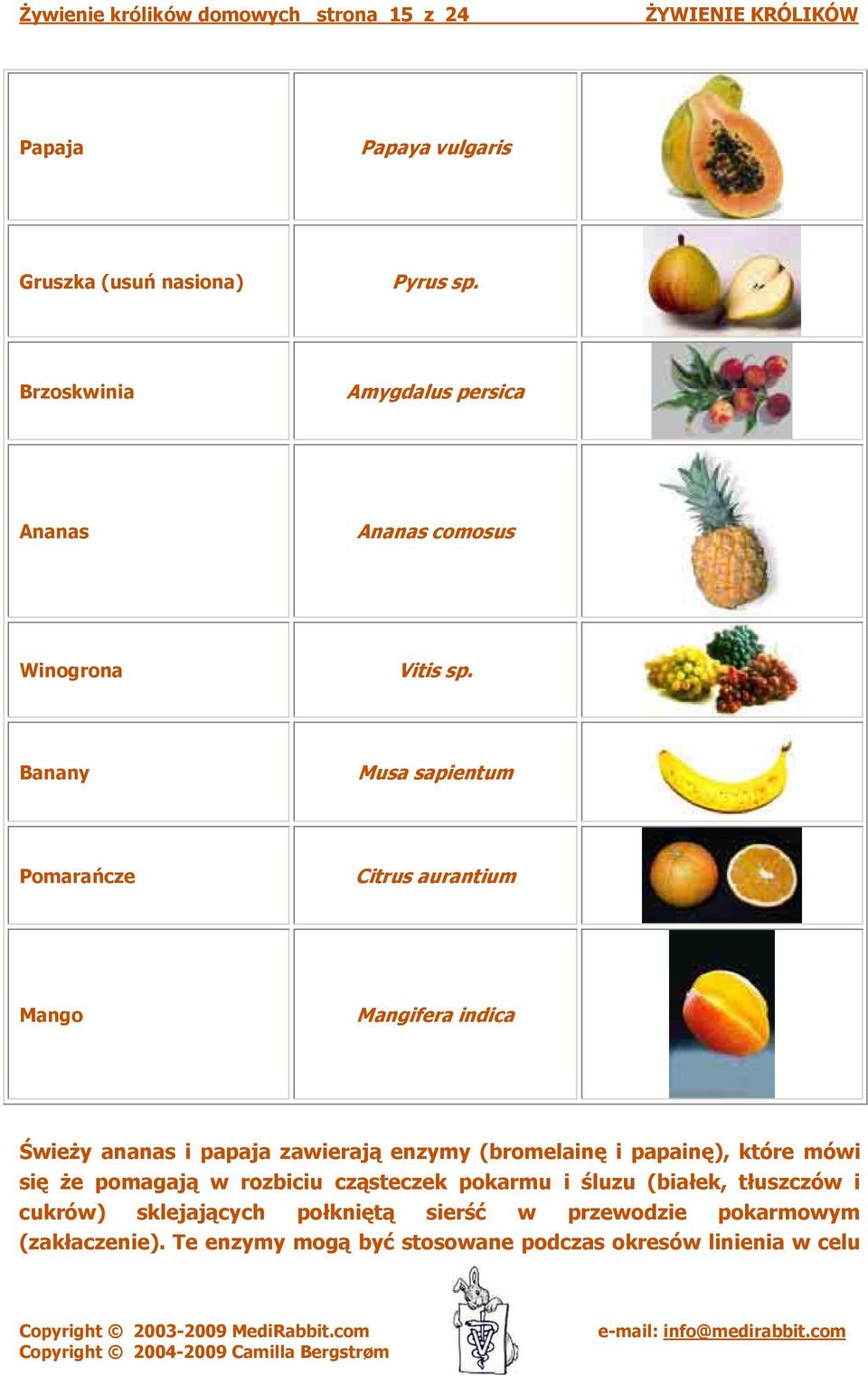Banany Musa sapientum Pomarańcze Citrus aurantium Mango Mangifera indica Świeży ananas i papaja zawierają enzymy (bromelainę i