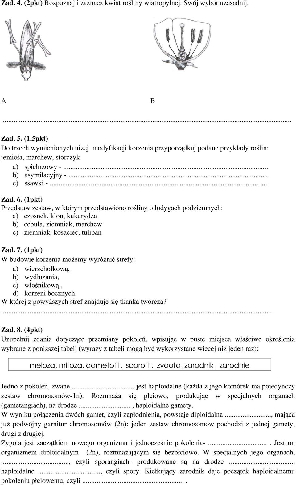 (1pkt) Przedstaw zestaw, w którym przedstawiono rośliny o łodygach podziemnych: a) czosnek, klon, kukurydza b) cebula, ziemniak, marchew c) ziemniak, kosaciec, tulipan Zad. 7.