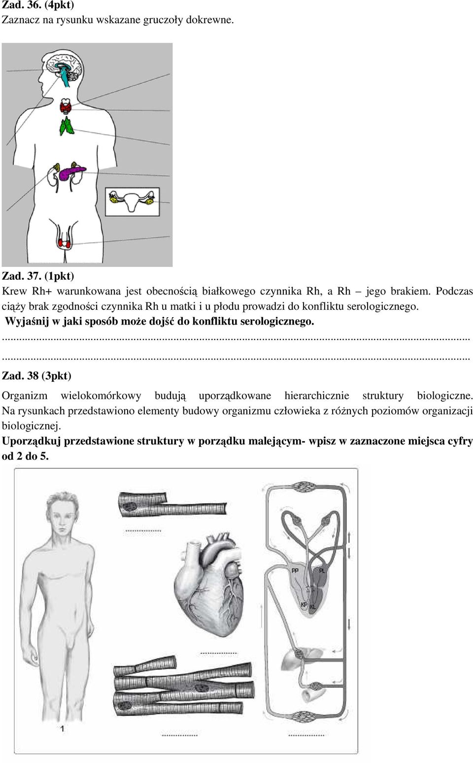 Wyjaśnij w jaki sposób może dojść do konfliktu serologicznego....... Zad.