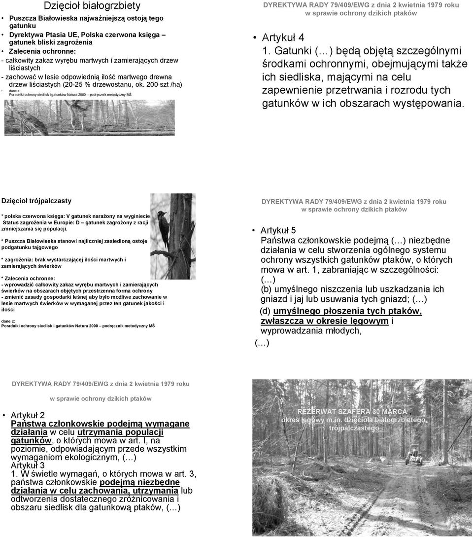 200 szt /ha) dane z: Poradniki ochrony siedlisk i gatunków Natura 2000 podręcznik metodyczny MŚ DYREKTYWA RADY 79/409/EWG z dnia 2 kwietnia 1979 roku w sprawie ochrony dzikich ptaków Artykuł 4 1.