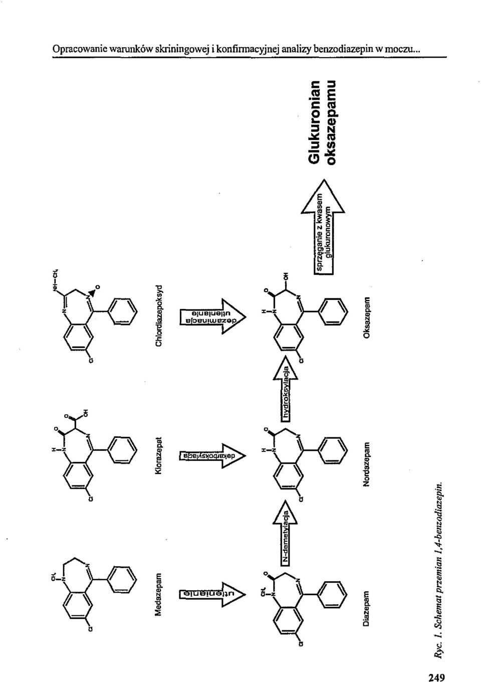 Chlorcliazepoksyd I N-demetyl Q' Diazepam Norclazepam