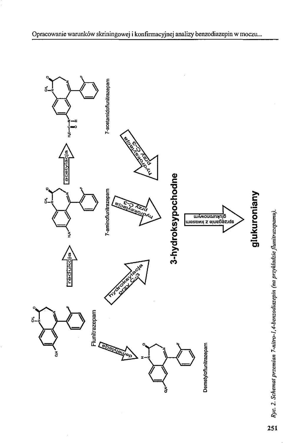 '11 7-acetamldoflunitrazepam o.n'.