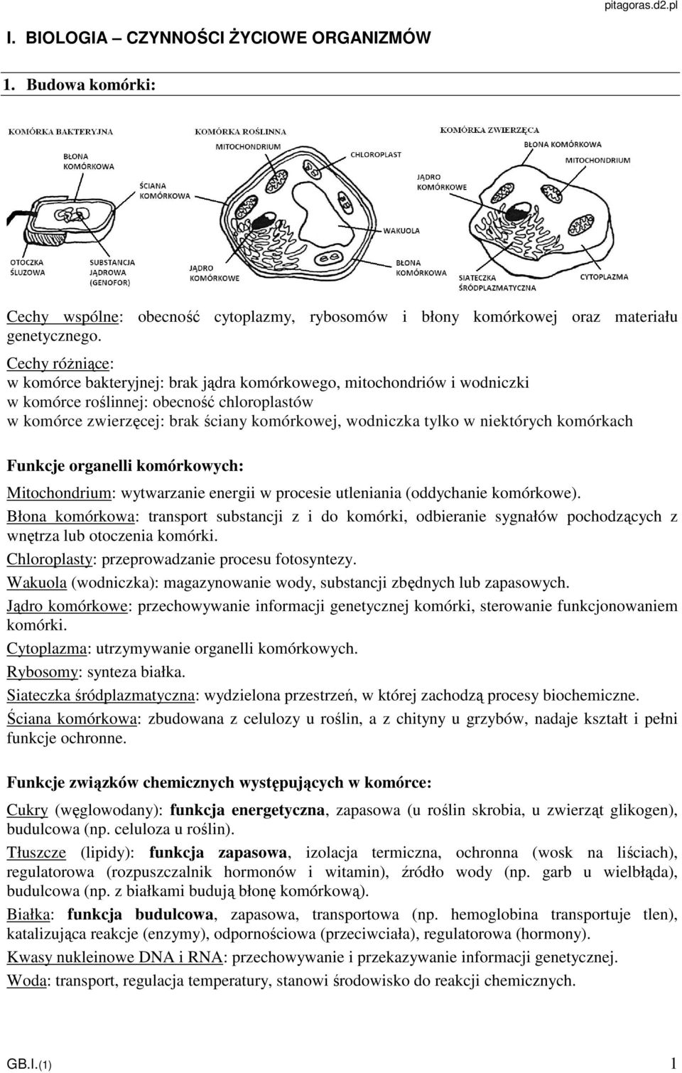 niektórych komórkach Funkcje organelli komórkowych: Mitochondrium: wytwarzanie energii w procesie utleniania (oddychanie komórkowe).