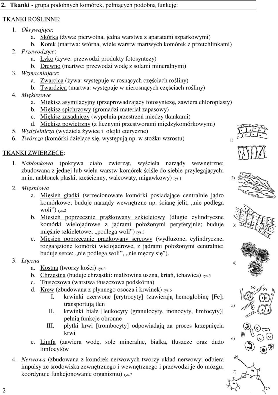 Wzmacniające: a. Zwarcica (żywa: występuje w rosnących częściach rośliny) b. Twardzica (martwa: występuje w nierosnących częściach rośliny) 4. Miękiszowe a.