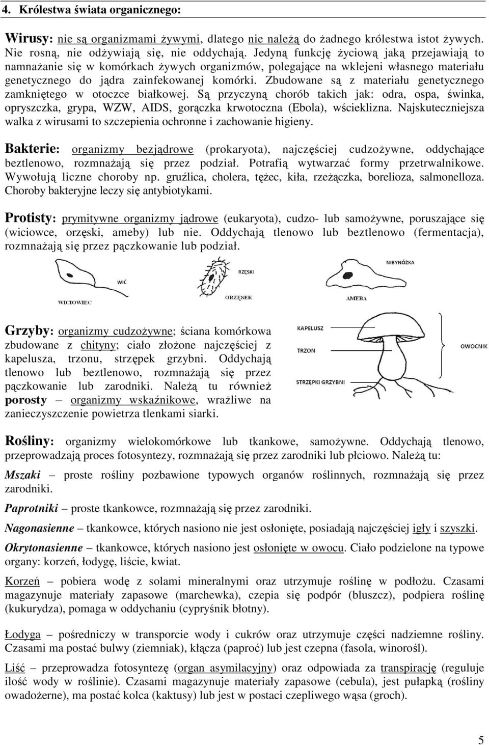 Zbudowane są z materiału genetycznego zamkniętego w otoczce białkowej. Są przyczyną chorób takich jak: odra, ospa, świnka, opryszczka, grypa, WZW, AIDS, gorączka krwotoczna (Ebola), wścieklizna.