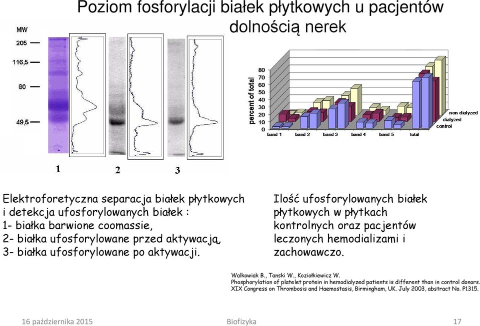 Ilość ufosforylowanych białek płytkowych w płytkach kontrolnych oraz pacjentów leczonych hemodializami i zachowawczo. Walkowiak B., Tanski W., Koziołkiewicz W.