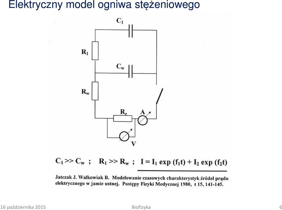 stężeniowego 16