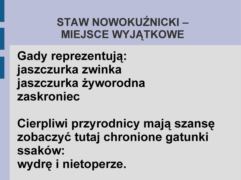 zaskroniec Cierpliwi przyrodnicy mają szansę